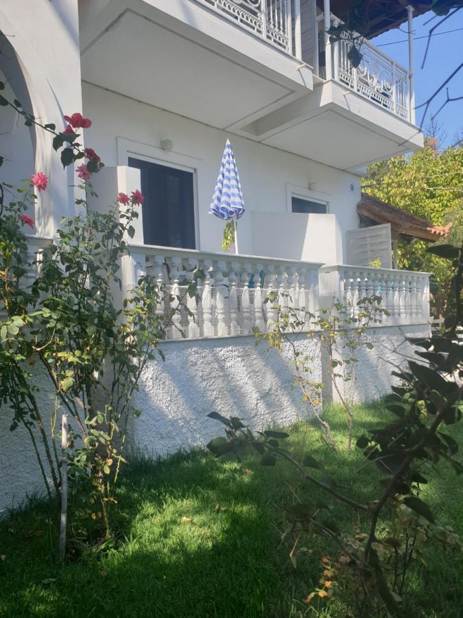 Aktipis Studios *