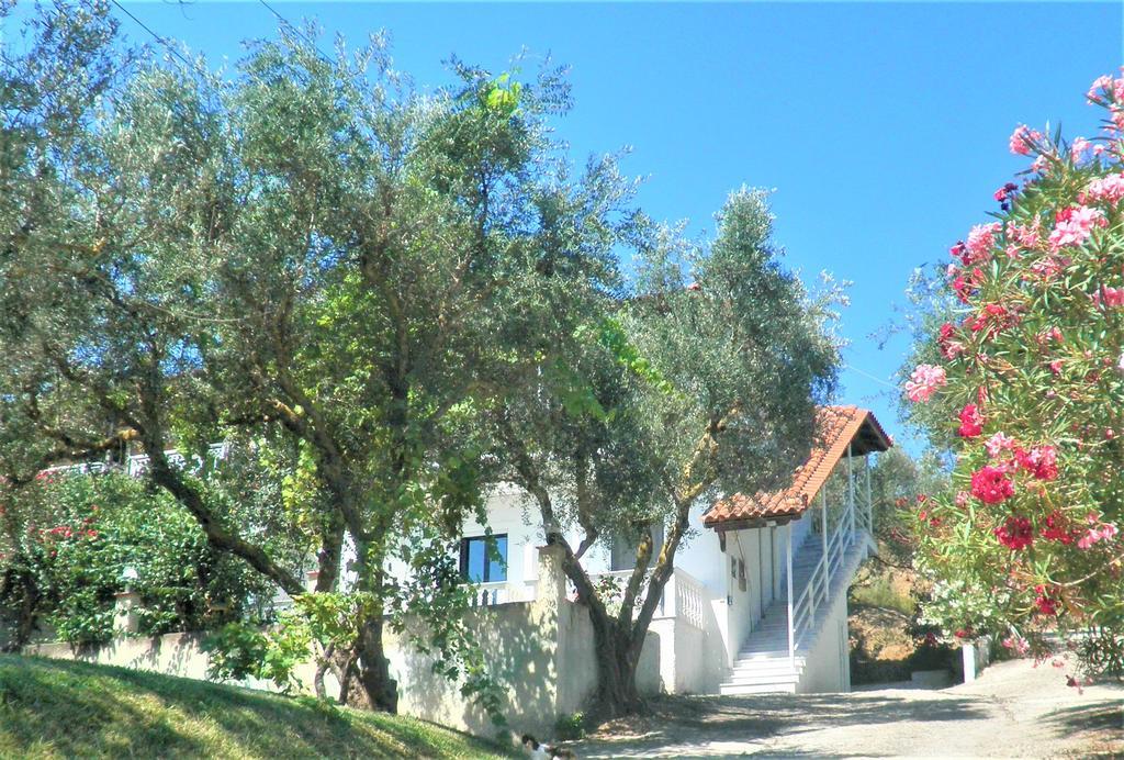 Aktipis Studios Apartment